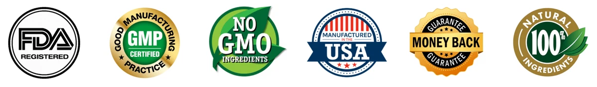 ZenCortex Certifications